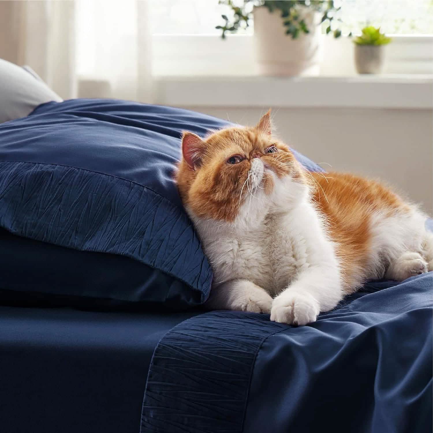 Thumbnail 69